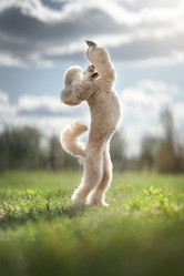 Similar image 21243440