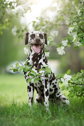 Similar image 21243441