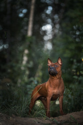 Similar image 21243445