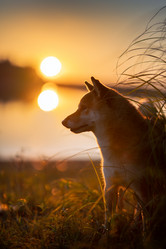 Similar image 21245593