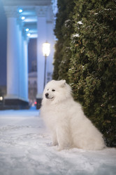 Similar image 21245594