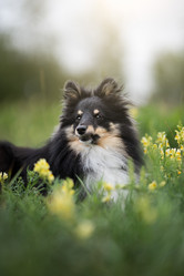 Similar image 21245595