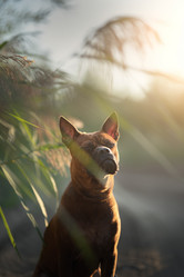 Similar image 21245596