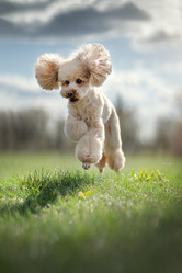 Similar image 21245597