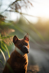 Similar image 21245598