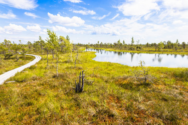 Similar image 21236044