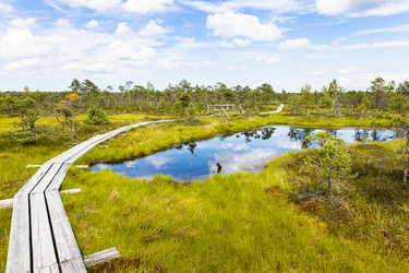 Similar image 21236046