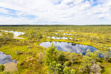 Similar image 21236047