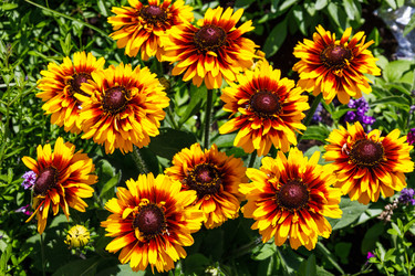 Similar image 21236053