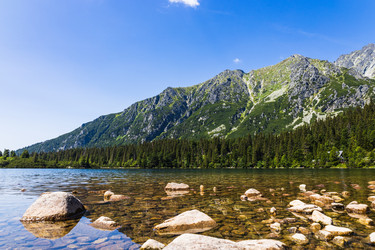 Similar image 21236062