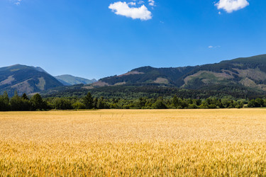 Similar image 21236063