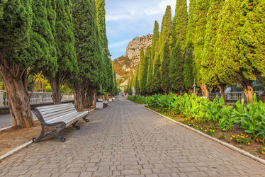 Similar image 21227058