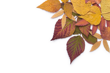 Similar image 21246341