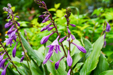 Similar image 21227075