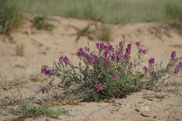 Similar image 21227077