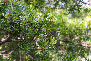 Similar image 21227088