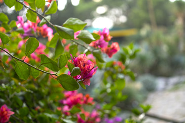 Similar image 21227089