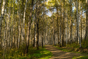 Similar image 21227090