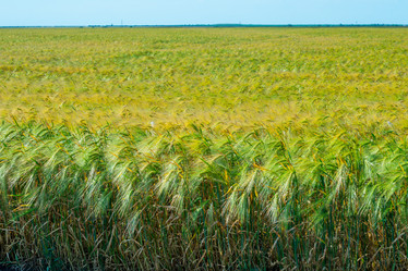 Similar image 21227094