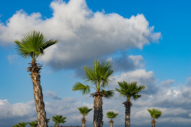 Similar image 21227096