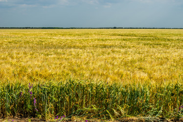 Similar image 21227098