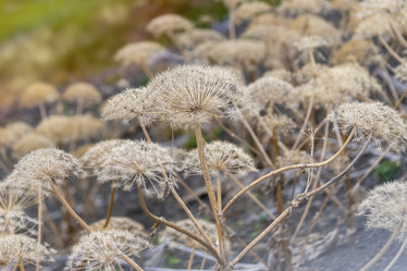 Similar image 21227104