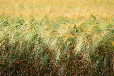 Similar image 21227108