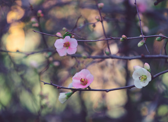 Similar image 21227117