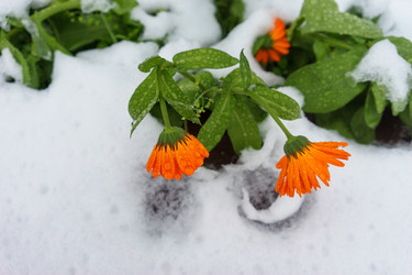 Similar image 21227119