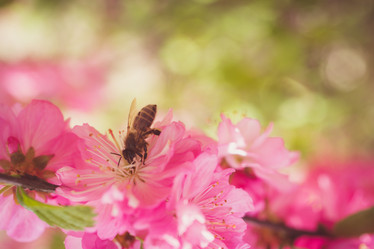 Similar image 21227122