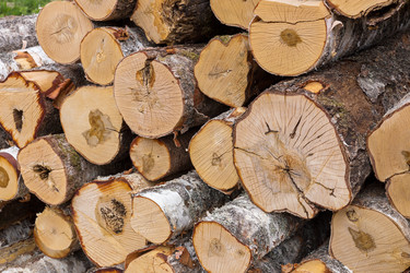 Similar image 21237887