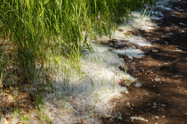 Similar image 21237893