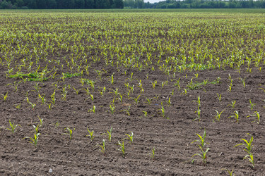 Similar image 21237943