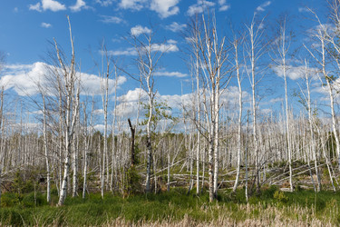 Similar image 21237944