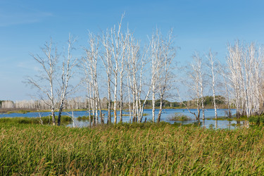 Similar image 21237946