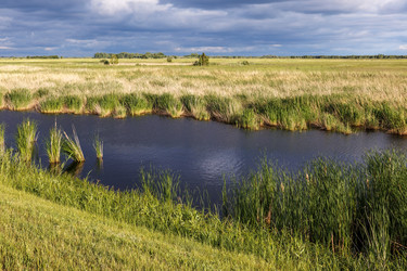 Similar image 21237955