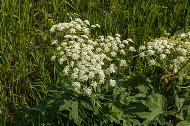 Similar image 21237963