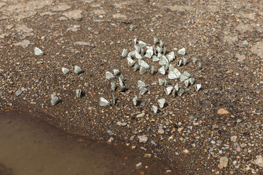 Similar image 21237964