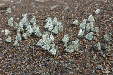 Similar image 21237965