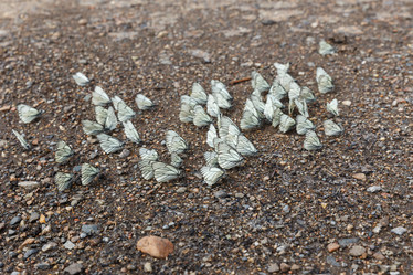 Similar image 21237966