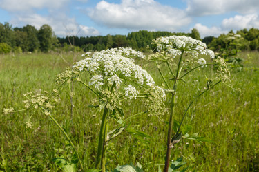 Similar image 21237968