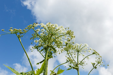 Similar image 21237969