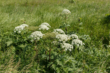 Similar image 21237970