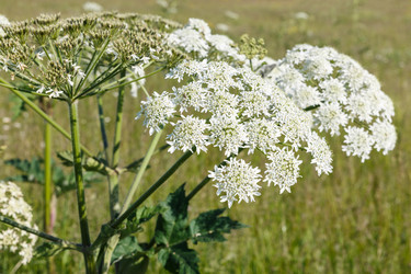 Similar image 21237975