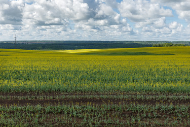 Similar image 21237979