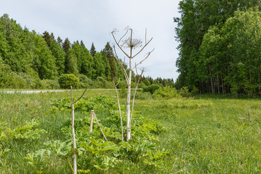 Similar image 21237989