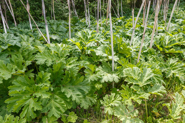 Similar image 21237994