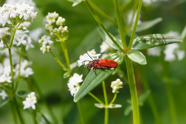 Similar image 21238625