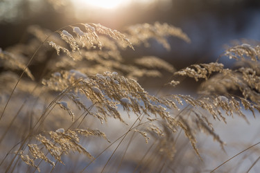 Similar image 21240680