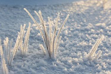 Similar image 21241432